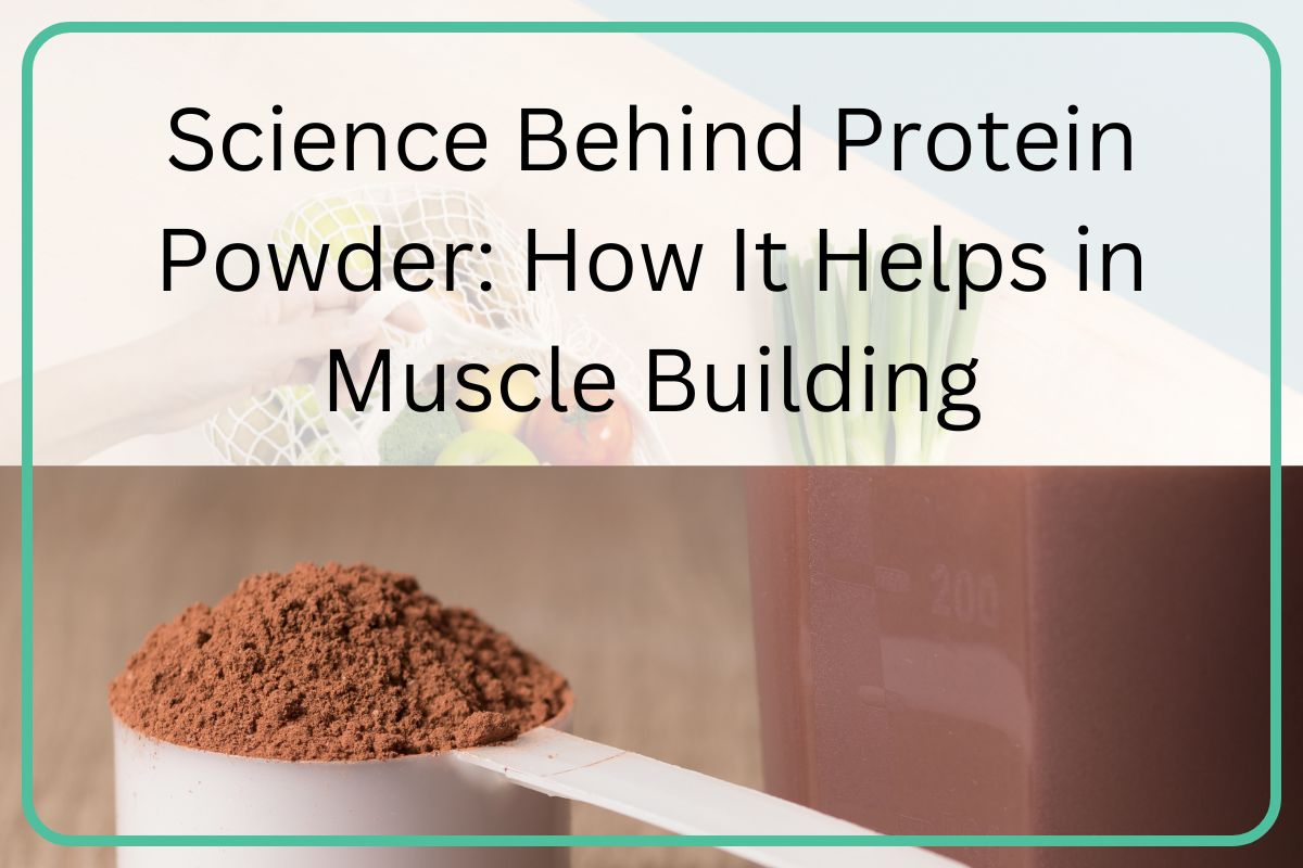 Science Behind Protein Powder How It Helps in Muscle Building